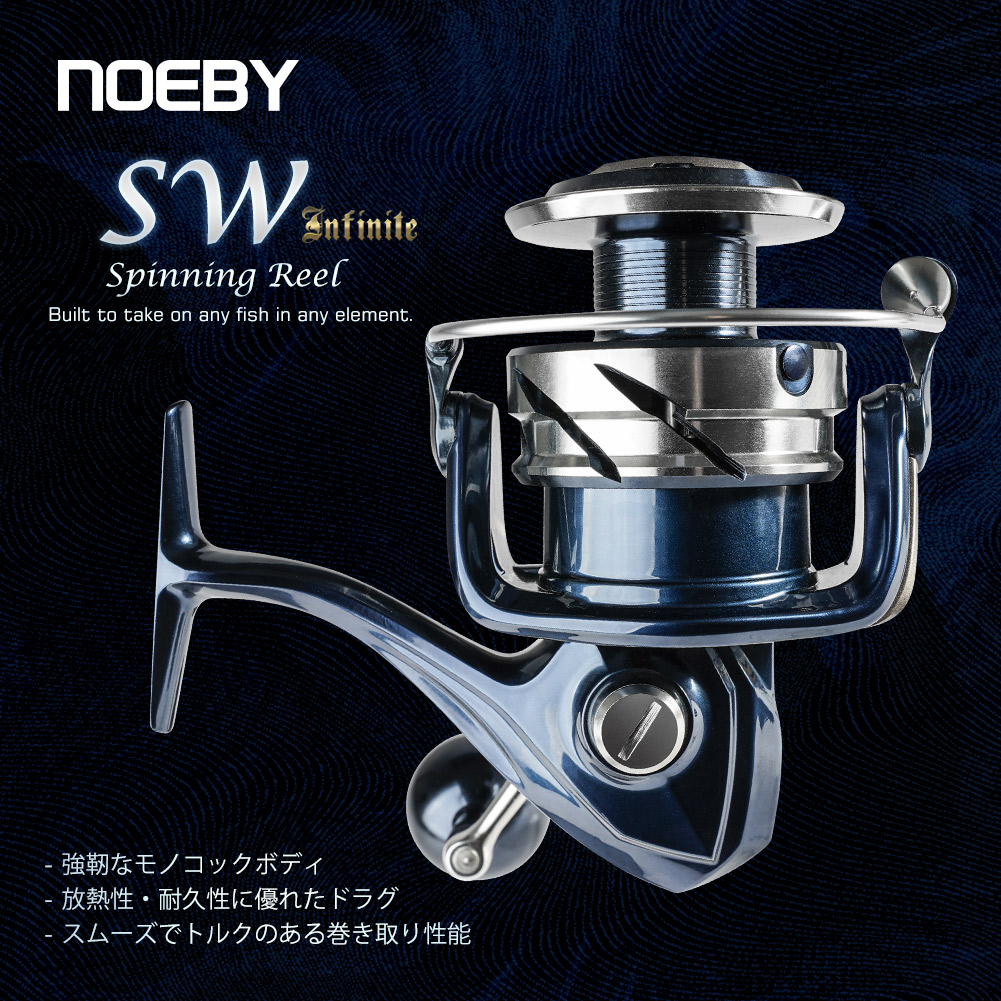 Mulinello da Pesca Spinning No - Daiwa Reel Bg recensione e prezzo